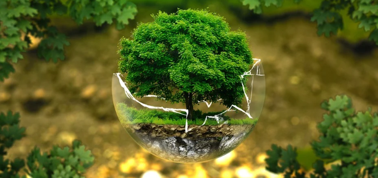 Go Green